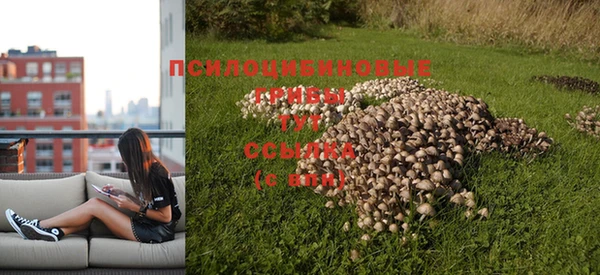 кристаллы Алексин