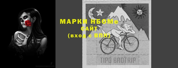 сатива Алзамай