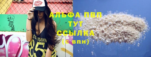сатива Алзамай